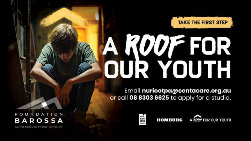 Youth Homelessness - A Roof For Our Youth