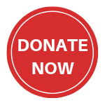 Donate Now Button