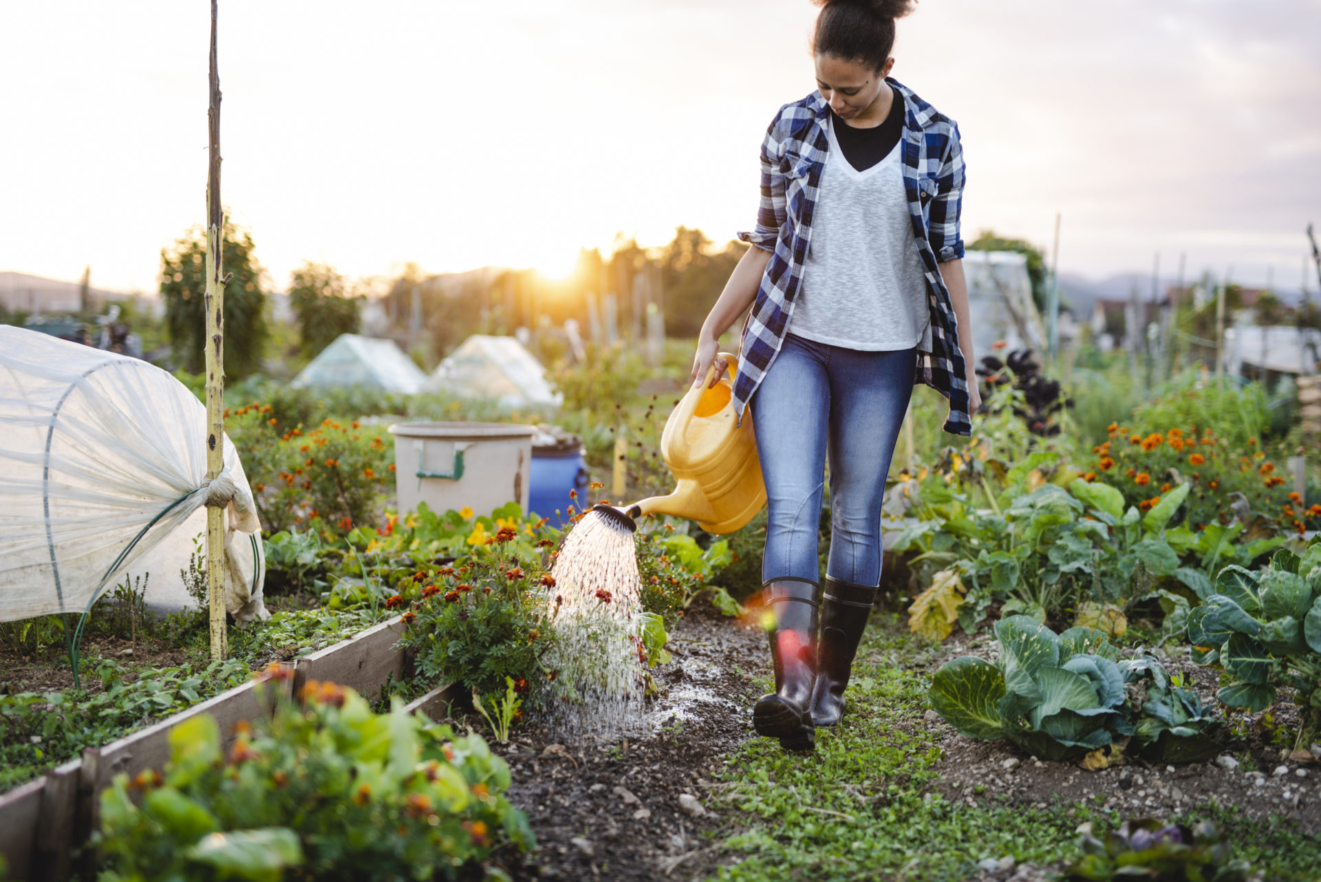 Community Garden